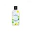 THE PURE LOTUS - Lotus Leaf Shampoo for Oily Scalp - 260ml